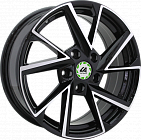 SK9-S